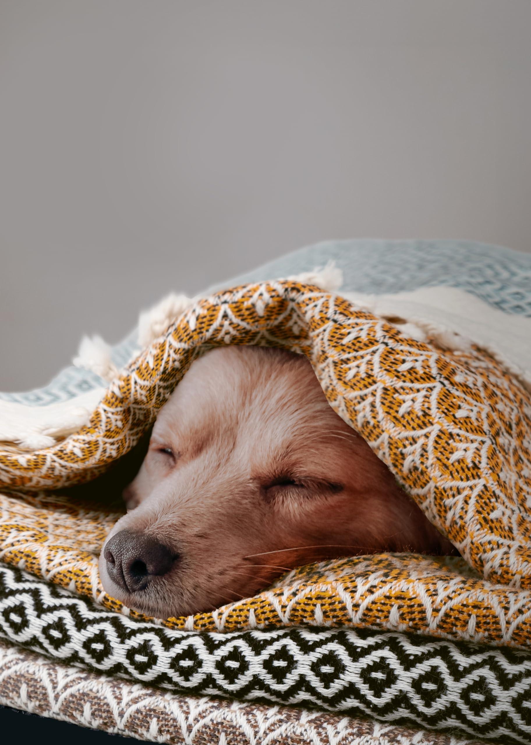 GOLD CASE HOME COLLECTION Gold CASE Turkish Hand Towels for Bathroom Set of 4 100% Cotton Bathroom Towels Helen Kitchen Small Towel for Spa, Face, Tea & Dishcloth Decorative Patterned Weave Black