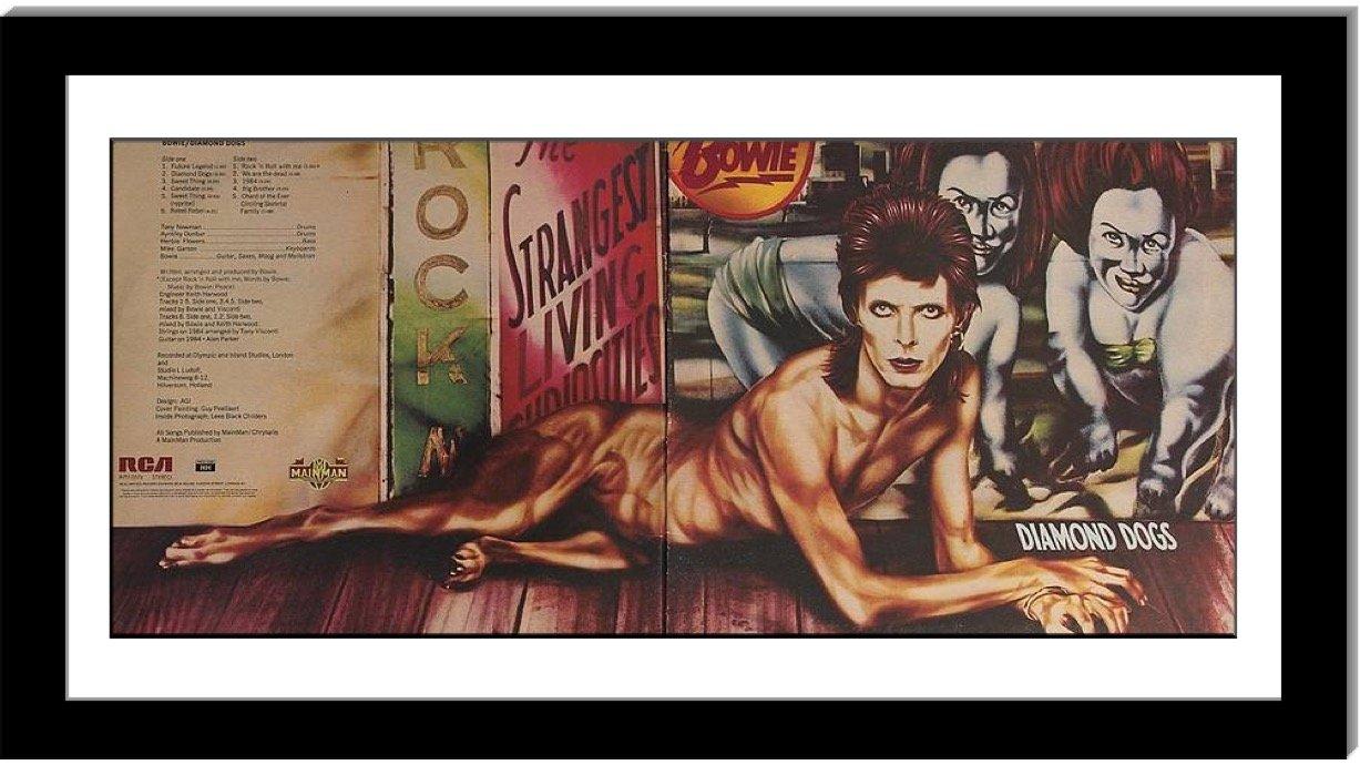 Ekena Millwork Ekena Millwork CM29DABPS Darnay Ceiling Medallion, 29 1/4\"OD x 2\"P (Fits Canopies up to 7 1/4\"), Hand-Painted Black Pearl