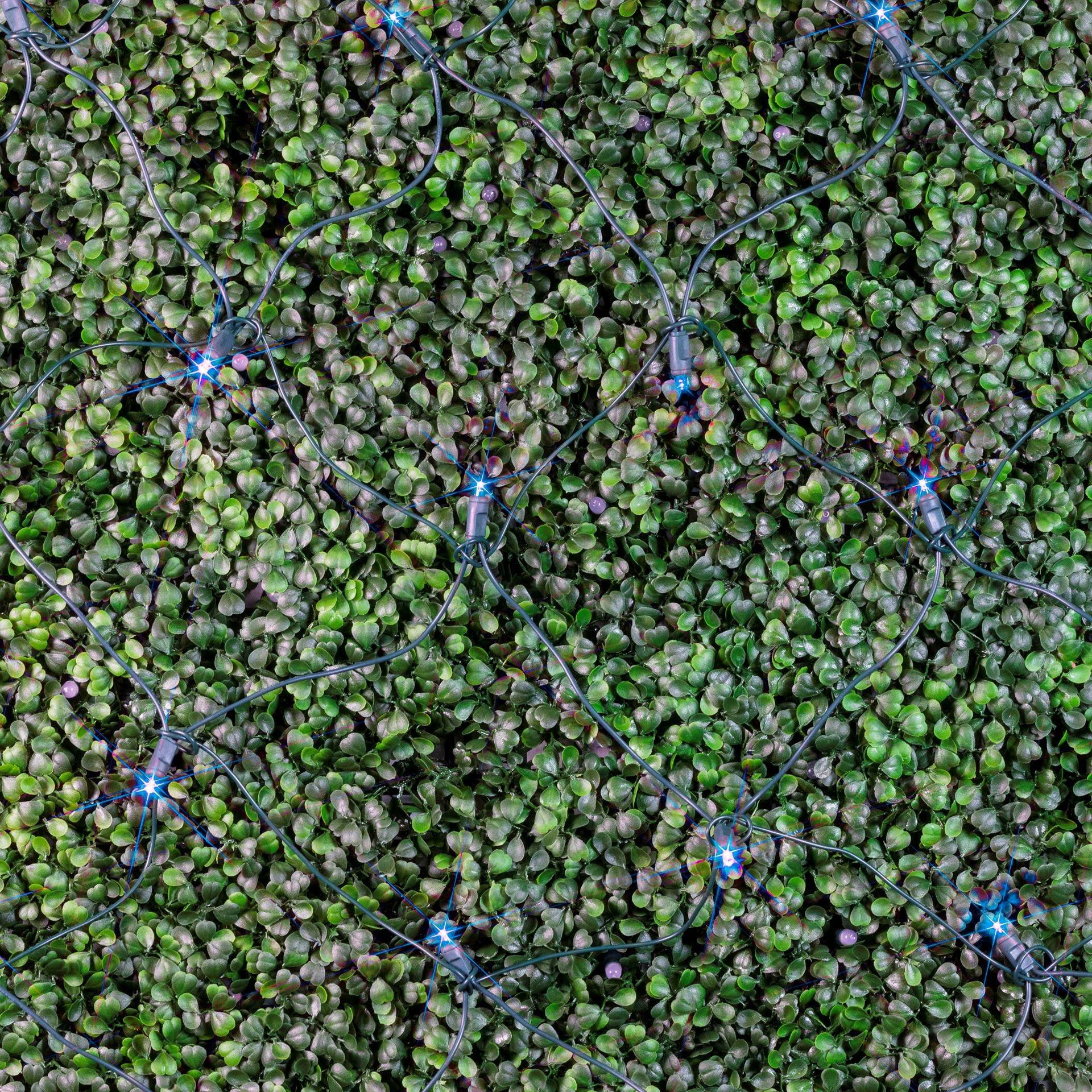 Novelty Lights Novelty Lights 4FT x 6FT 100 LED Net Lights, Net Lights Outdoor Mesh Lights Durable LED Bulbs For Bushes, Garden, Holiday, Backyard Decor Outdoor Lighting For Patio (Blue)