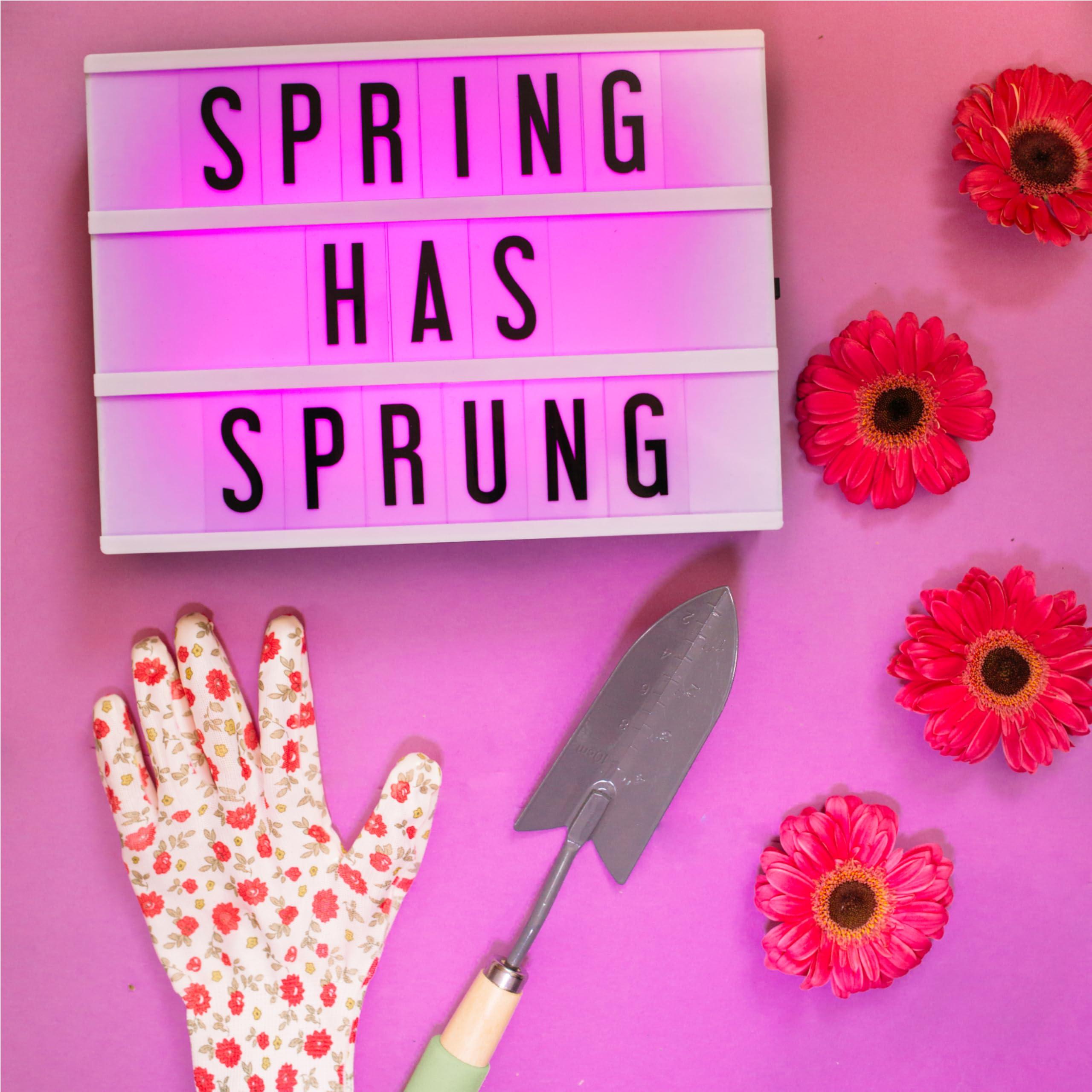 My Cinema Lightbox My Cinema Lightbox Cinema Light Box Letter Board - 12x9-Inch Light Up Signs with 100 Letters, Numbers, and Symbols - Neon Sign with White LED, RGB, and Color Freeze Mode for Home Decor