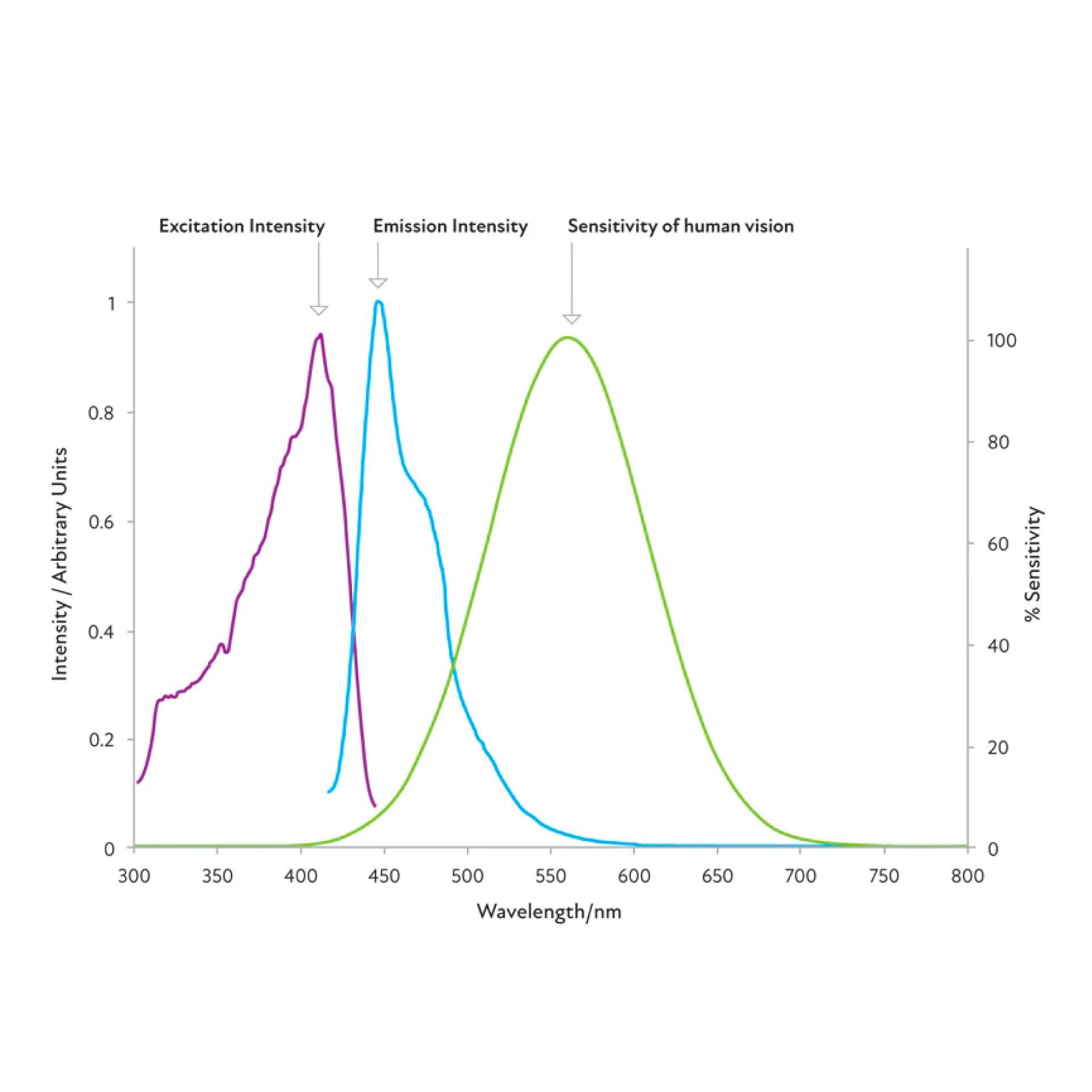 ARTSCAPE Artscape Bird\'s Eye View | UV-Reflective Anti-Collision Window Film | Protects Birds from Glass Collision | Four-Pack | 6 x 6 Inches Each | Made in USA