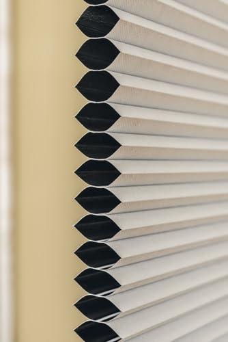 First Rate Blinds Blackout Top Down Bottom Up Cordless Cell Shades, 63W x 36H, Ivory