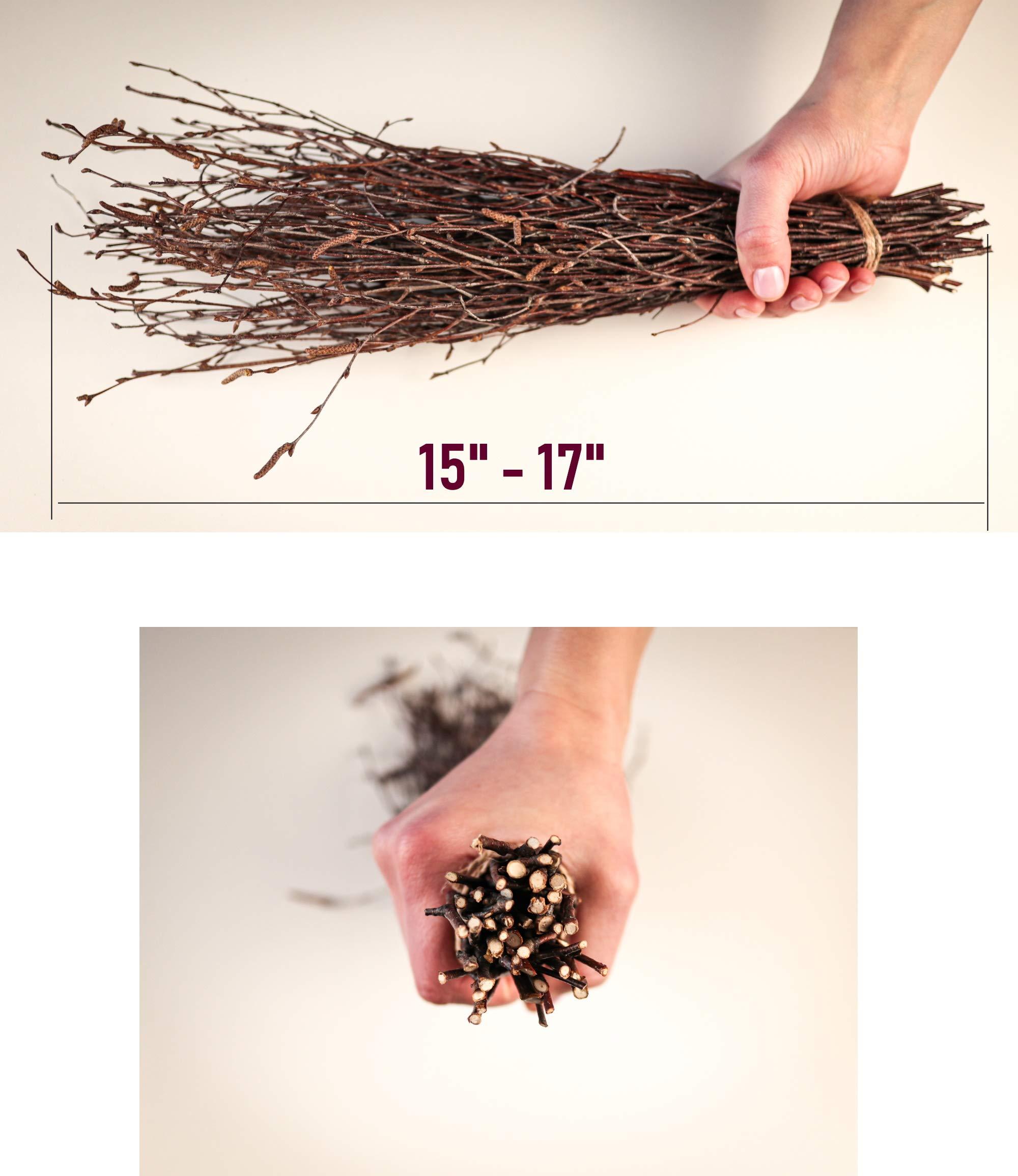 ECOWOODDECOR 200 pcs. 100% Natural Birch Twigs for centerpieces, for Crafts, Set of 4 Bundles. [ECOWOODDECOR] Birch Branches for vase Decoration, DIY, Wedding Decoration Birch Twigs