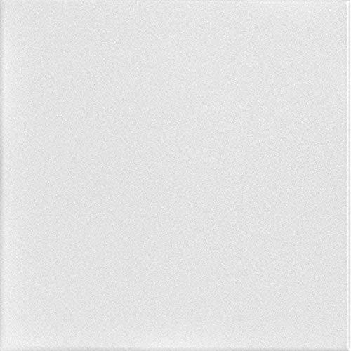 A La Maison Ceilings A La Maison Ceilings R22 Basic Foam Glue-up Ceiling Tile (21.6 sq. ft./Case), Pack of 8, Plain White