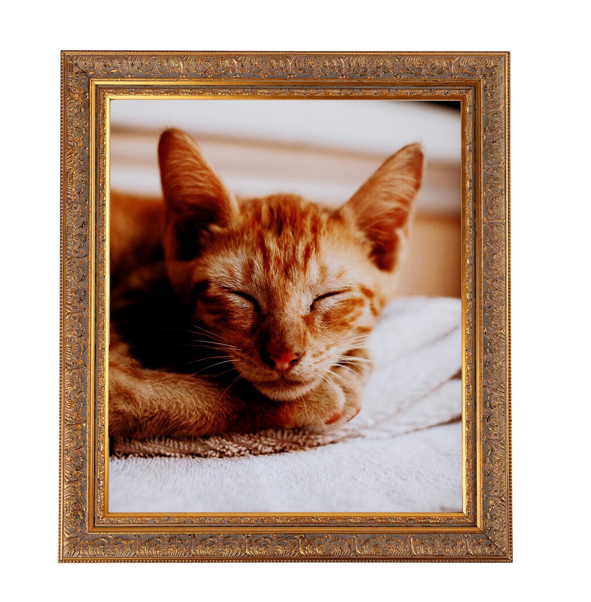 ArtToFrames ArtToFrames 18x36 Inch Multi Picture Frame, This 1.625 Inch Custom Wood Poster Frame is Gold with Green Tones - Comes with 060 Plexi Glass and Corrugated Backing (WOMOM79000-18x36)