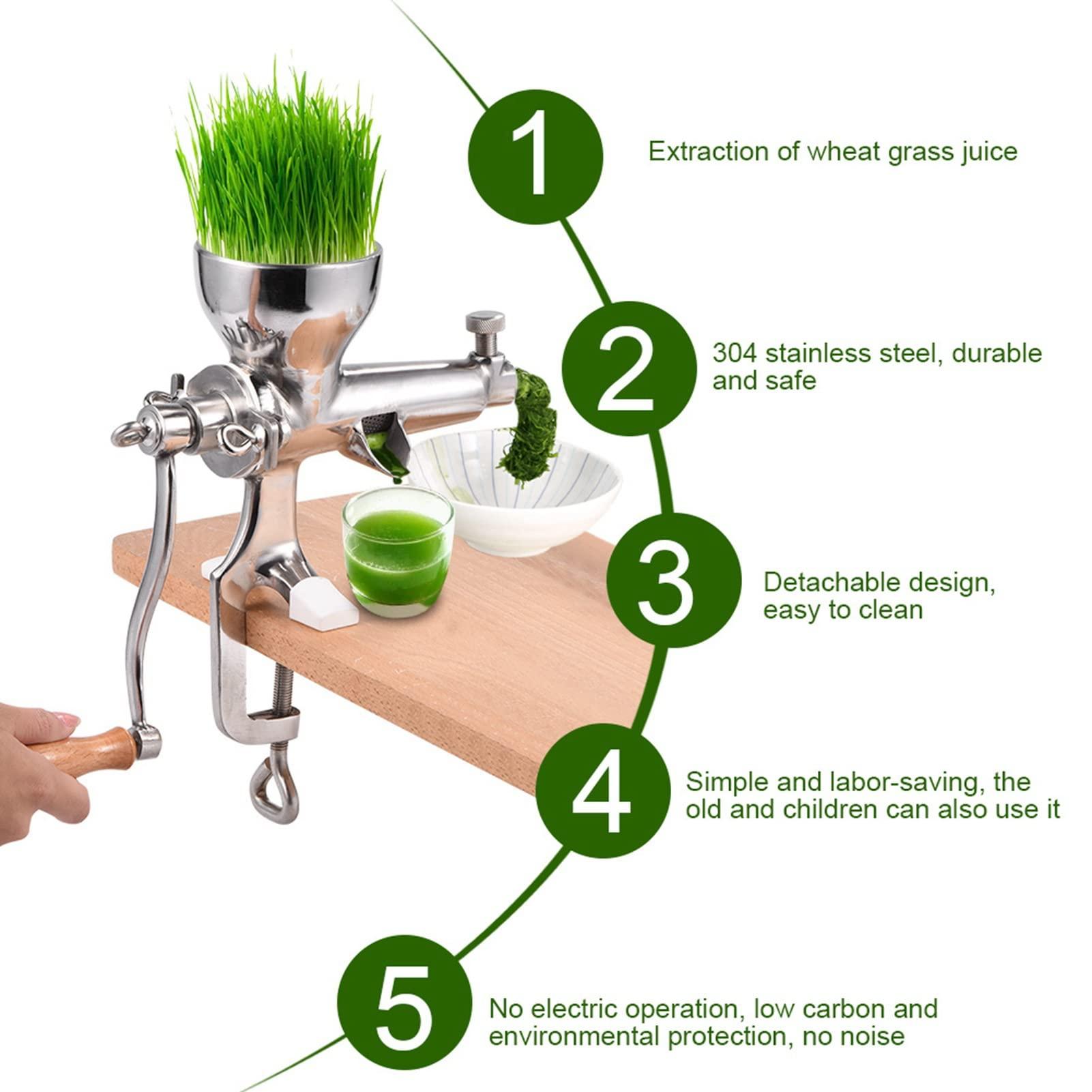 flexman FLEXMAN Stainless Steel Wheat Grass, Wheatgrass Manual Hand Juicer Health Juice Extractor Tool for Grass, Fruit, Vegetables