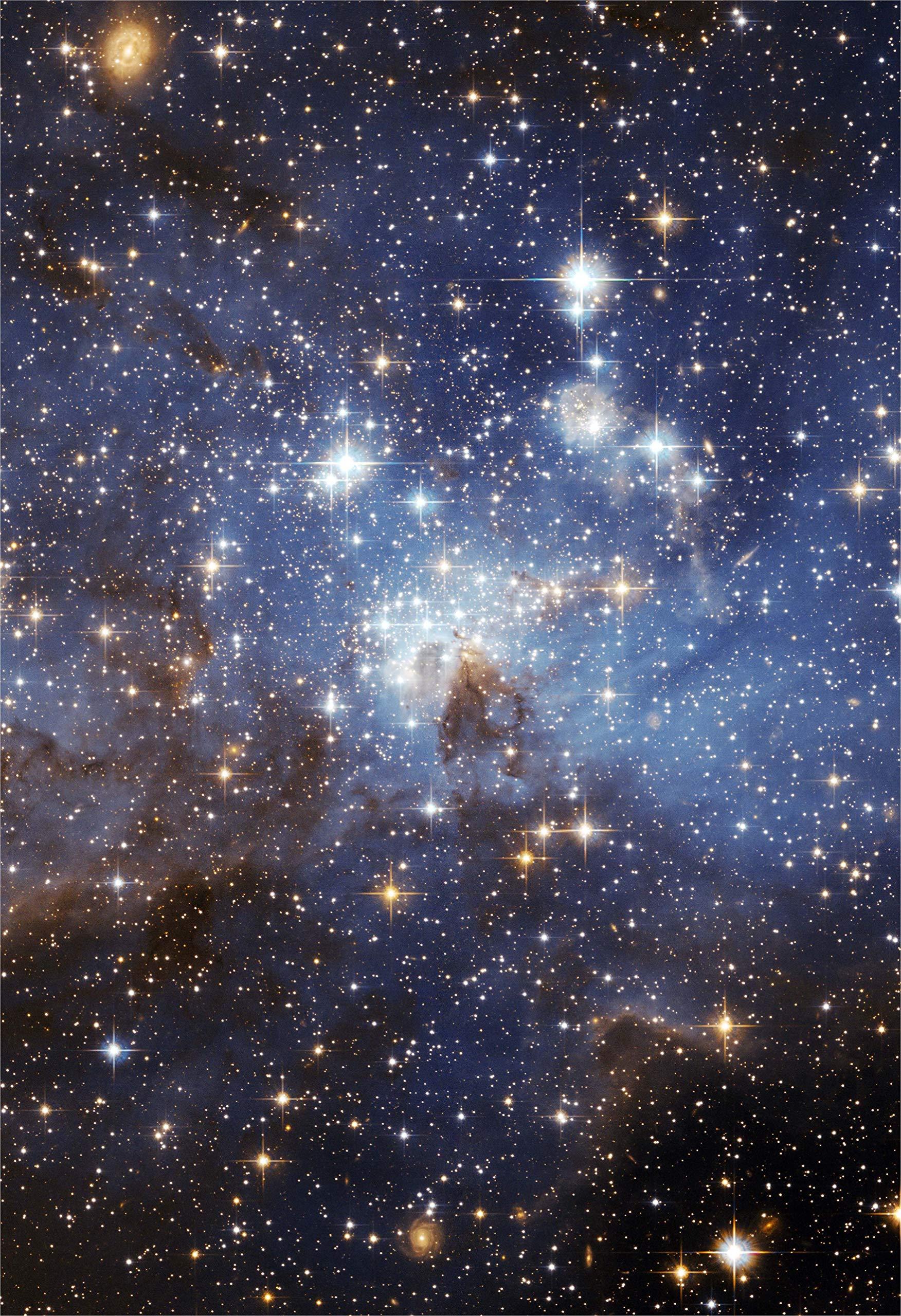 Oreck Oreck Buster B Canister Bag Generic 12 Pack