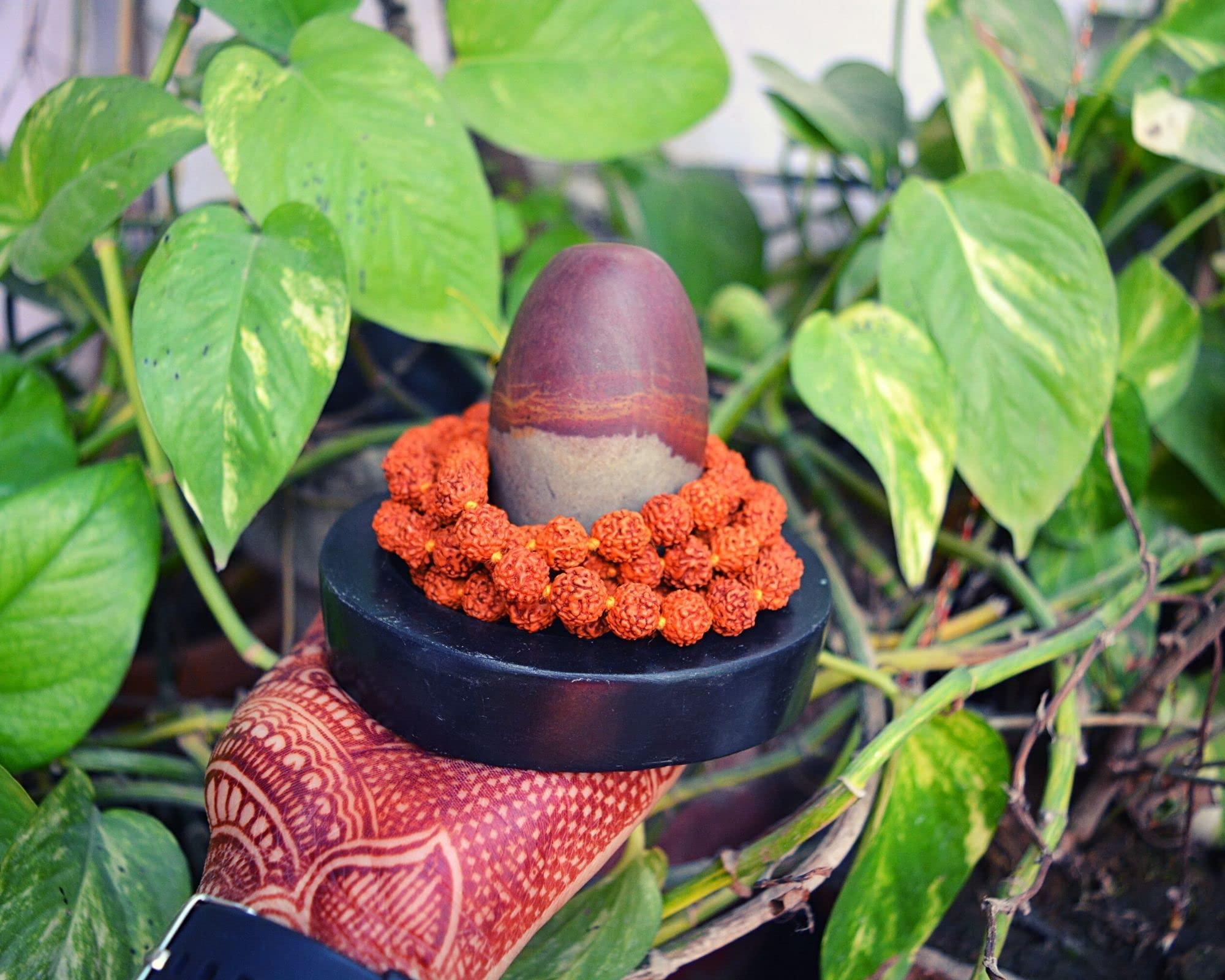 Shiva Lingam Shop 3" Narmadeshwaram Lingam with 6" Black Yoni Base Unique Shivlingam Set~I-5631