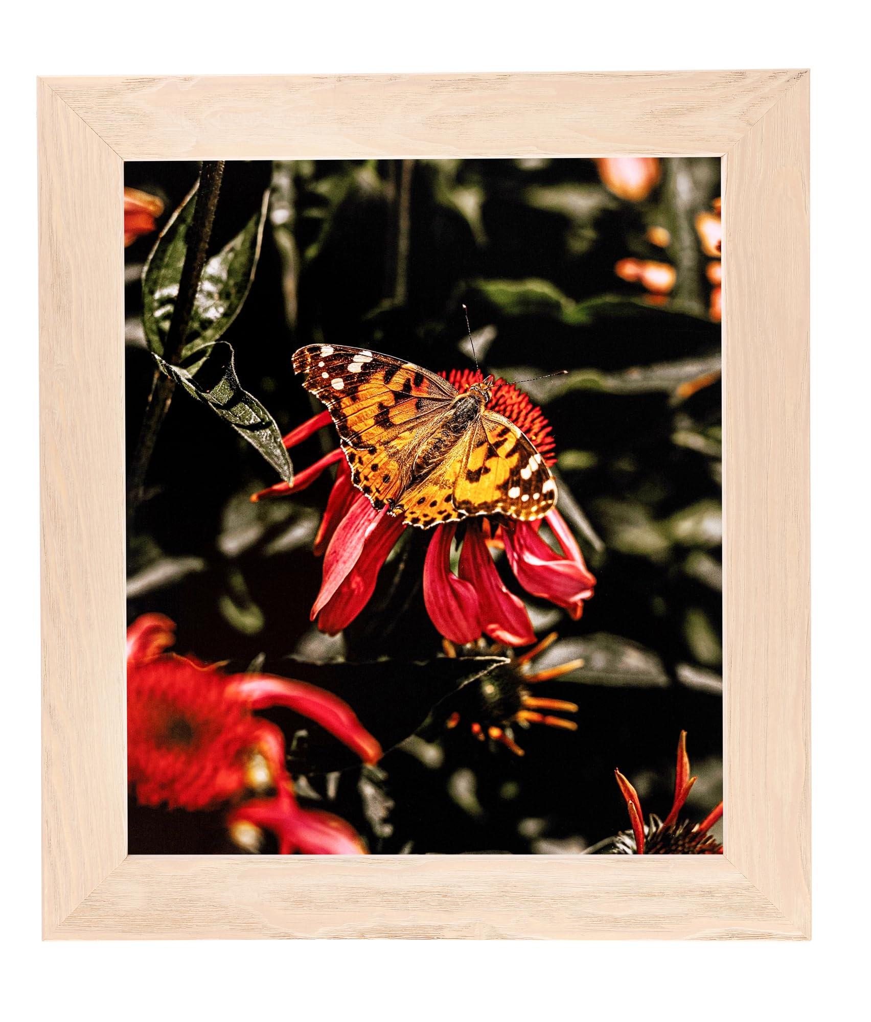 ArtToFrames ArtToFrames 22x28 Inch White Picture Frame, This 1.75 Inch Custom Wood Poster Frame is Clear Stain - Comes with Foam Backing 3/16 inch and Regular Acrylic (FBPL82223-102-22x28)