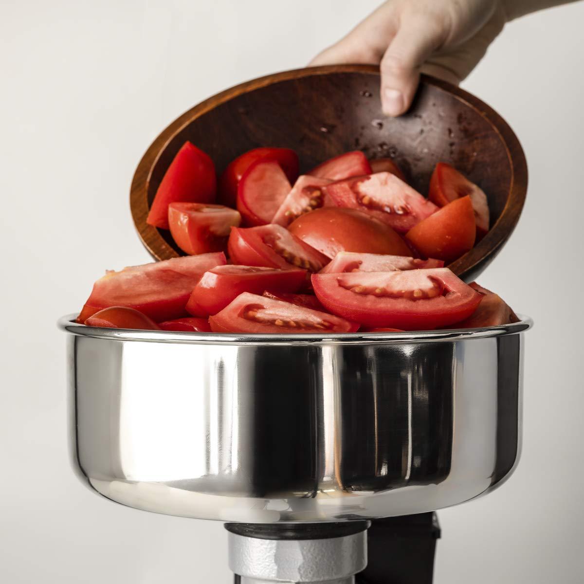 Raw Rutes Raw Rutes - Electric Tomato Strainer Machine - Made in Italy - Perfect for Canning Tomato Purees, Sauces and More! (No. 3)