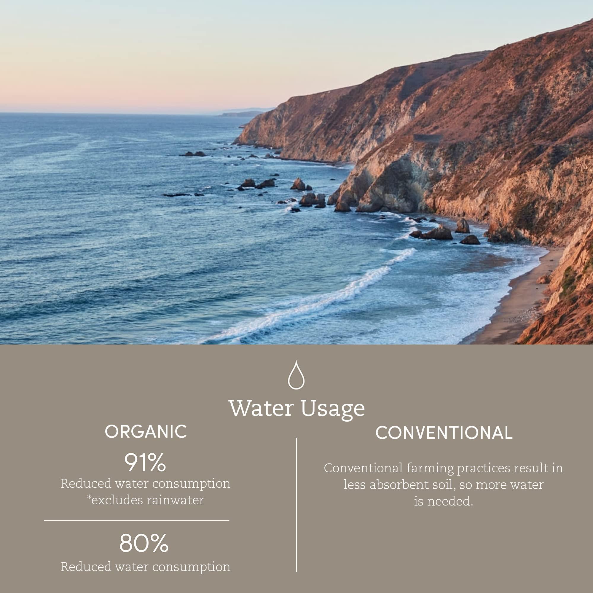 Coyuchi Coyuchi Air Weight Organic Towels, Hand Towel - Undyed (20\" x 40\")