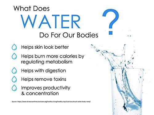 Multipure Multipure Aquaversa - Inline (No Hardware Included and No Faucet)