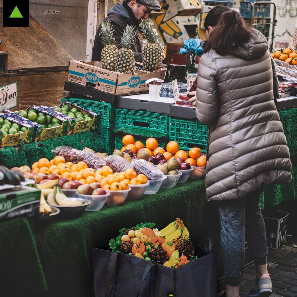 ZENPAC ZENPAC Extra Large Collapsible Canvas Reusable Grocery Bags with Handles, Fabric Totes with Plastic Bottom, Washable, Heavy Duty, Bulk, 15x9.5x13 5 Pack