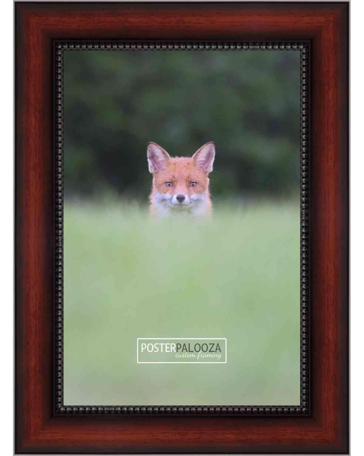 Generic Burlington Iowa Denver Zephyr Burlington Rt Railroad Train Poster Art Print 219(SIZE:16 x 24 inches)