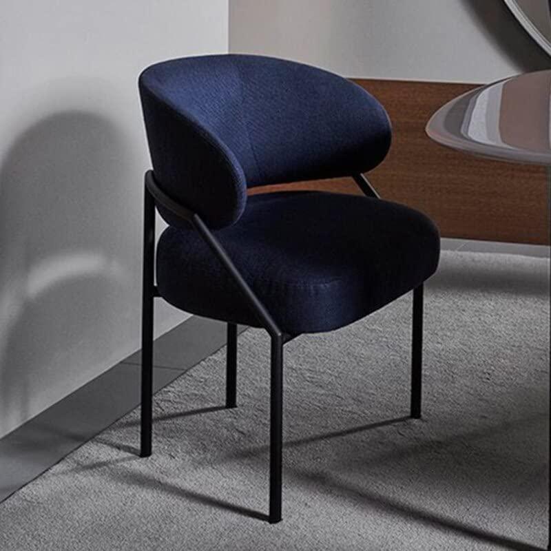 OLOTU OLOTU Dining Room Chairs Dining Chairs Wrought Iron Kitchen Chair Comfortable Leisure Padded Chairs for Kitchen Living Room Dining Room Chairs Latest Styles