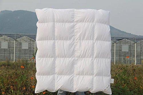 ROSE FEATHER Toddler/Travel/Crib Goose Down Comforter Duvet/Blanket Multifunctional,100% Organic Cotton Washable Unisex Kids,All Season,White 33x43