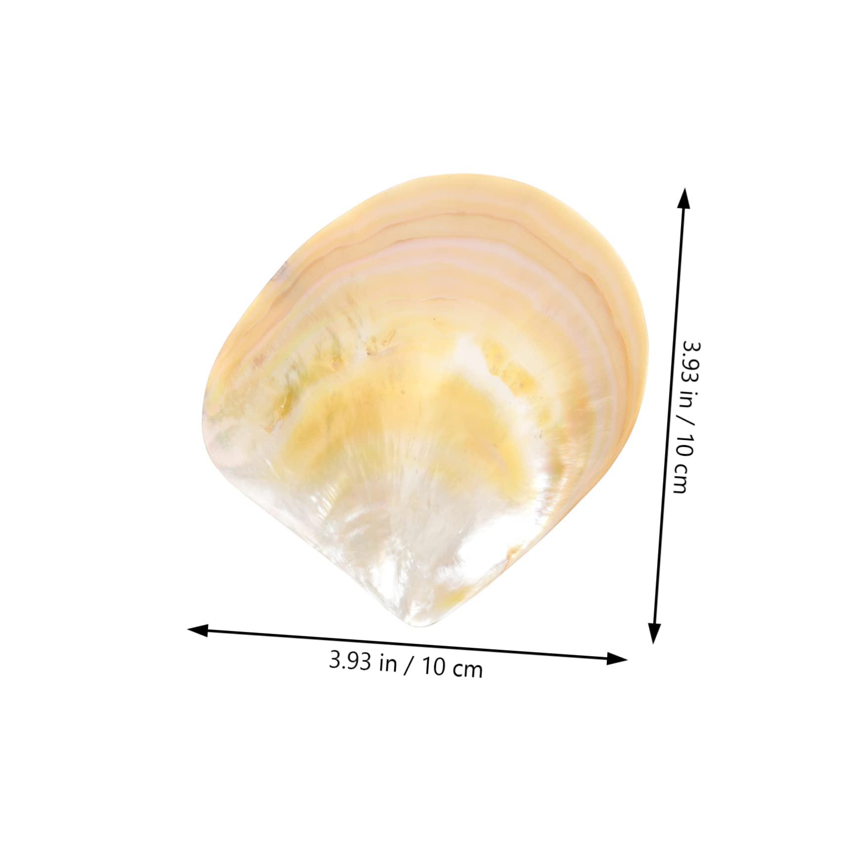 PRETYZOOM PRETYZOOM 1 Set Caviar Dish Fish Decorative Balls for Bowls Products Tank Conch Charcuterie Flat Caviar Shell Dish Caviar Props Decorative Paintings for Living Room Glossy Shell Adornment