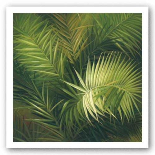 Haddad's Haddad's Tradewind Breeze by Verdi 24"x24" Art Print Poster