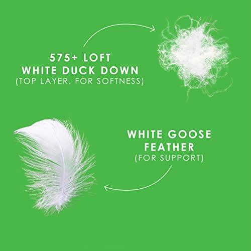 Canadian Down & Feather Company Canadian Down & Feather Co. - Down Perfect Feather Bed Twin Size - 255 TC Shell 100% Cotton Mattress Topper - Oeko TEX Certified White