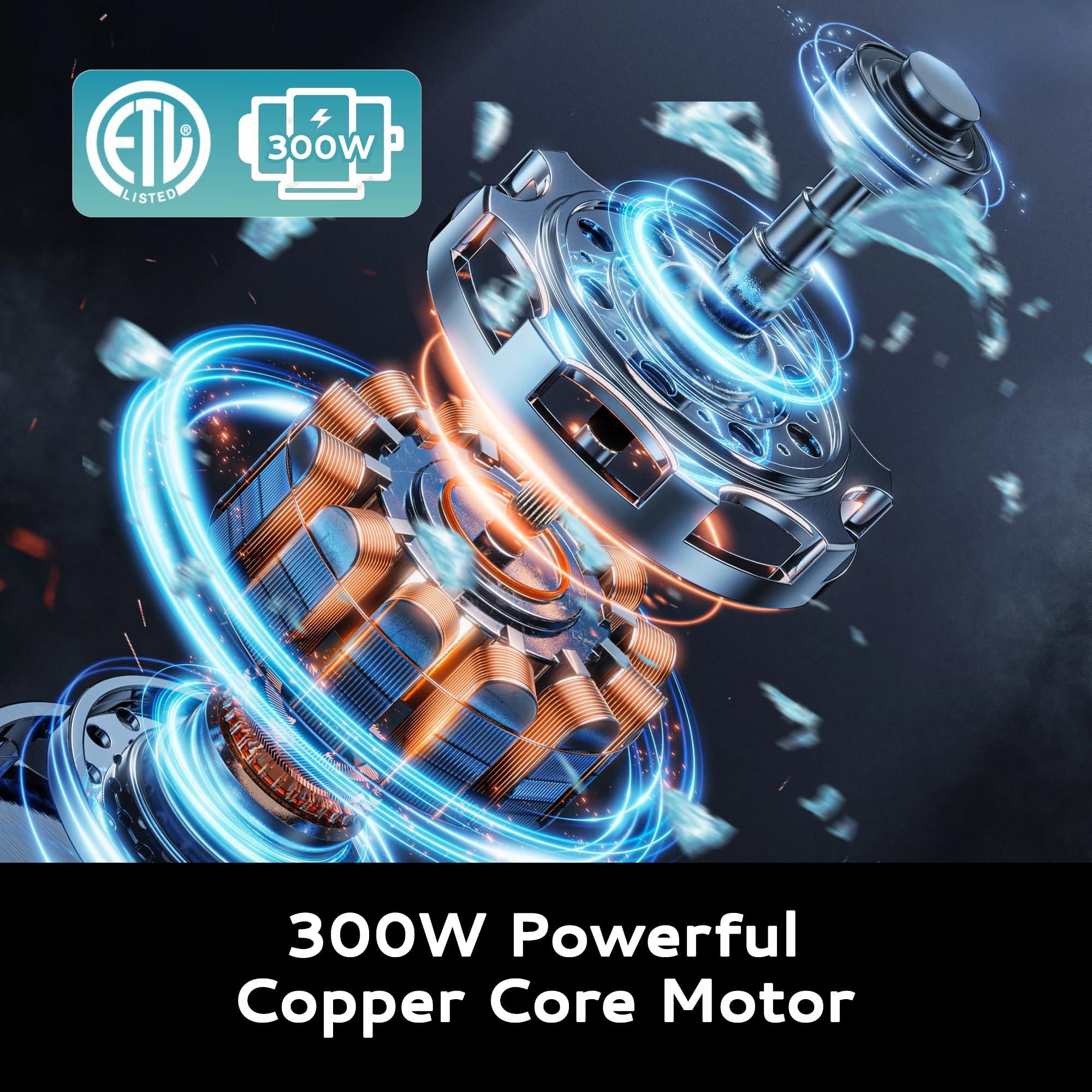 EUHOMY EUHOMY Commercial Ice Crusher, 661Lbs/H, ETL Approval, Snow Cone Machine with Dual Blades, Easy-to-Clean, 300W Electric Shaved Ice Machine with Safety Switch for Both Home & Commercial Use (Silver)