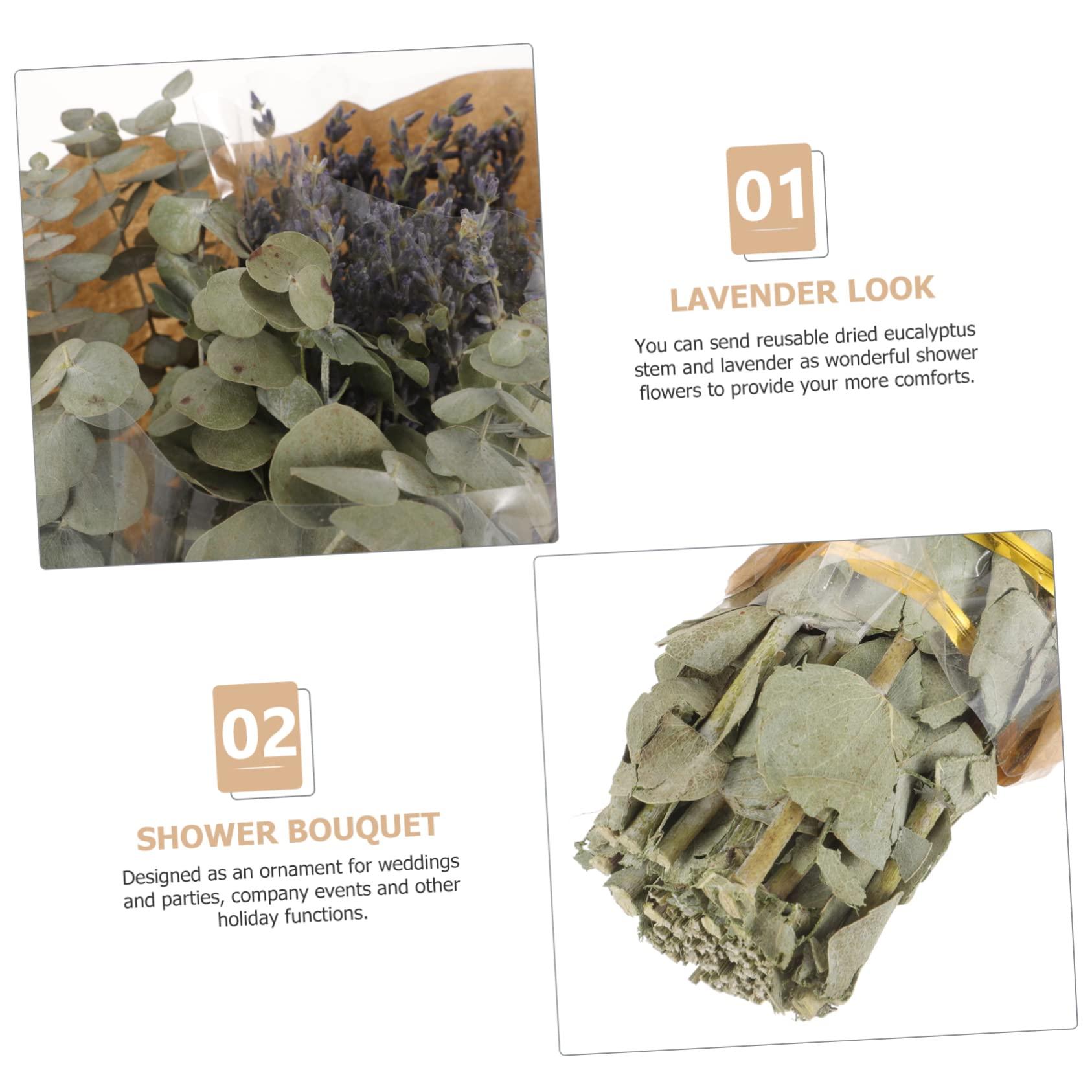 Ciieeo Ciieeo 1 Eucalyptus Shower Plant Real Eucalyptus Branches Dried Lavender Shower Preserved Eucalyptus Stem Lavender Bundles for Shower Dried Eucalyptus Stem Dried Flowers