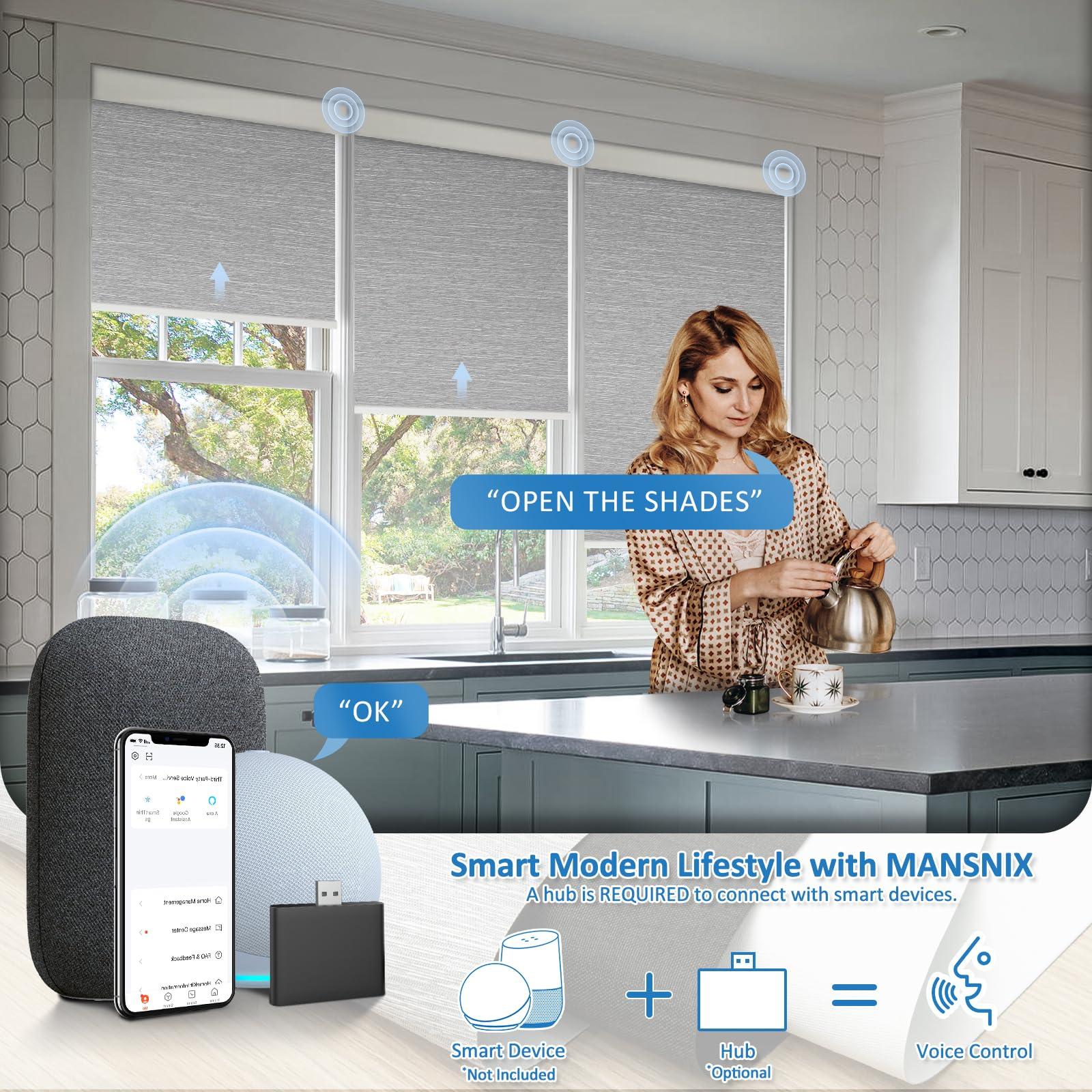 MANSNIX MANSNIX Smart Motorized Blinds with Remote, Cordless No-Drill Automatic Roller Shades, Blackout Electric Blind for Windows, Grey, 24 x 72