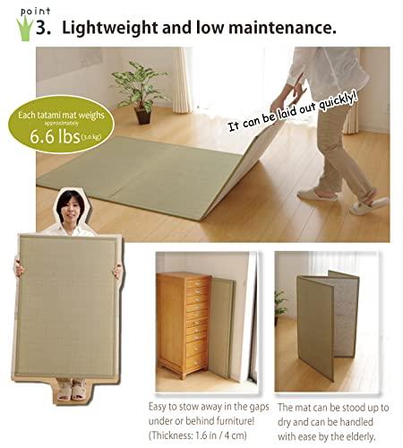 FutonTokyo Futon Tokyo Original Futon Starter Set 5 Sizes Made in Japan (Double 82 55 3.94\")