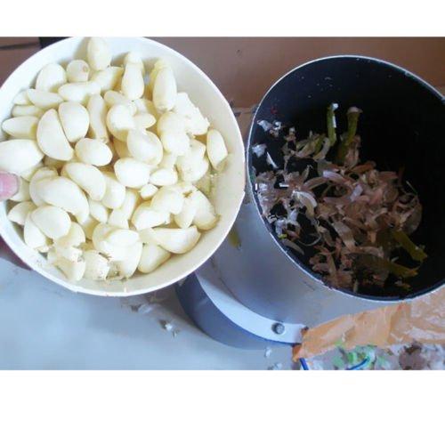 TOPCHANCES TOPCHANCES 110V Garlic Peeling Machine Electric Garlic Peeler for Household and Commercial (Old Deisgn)