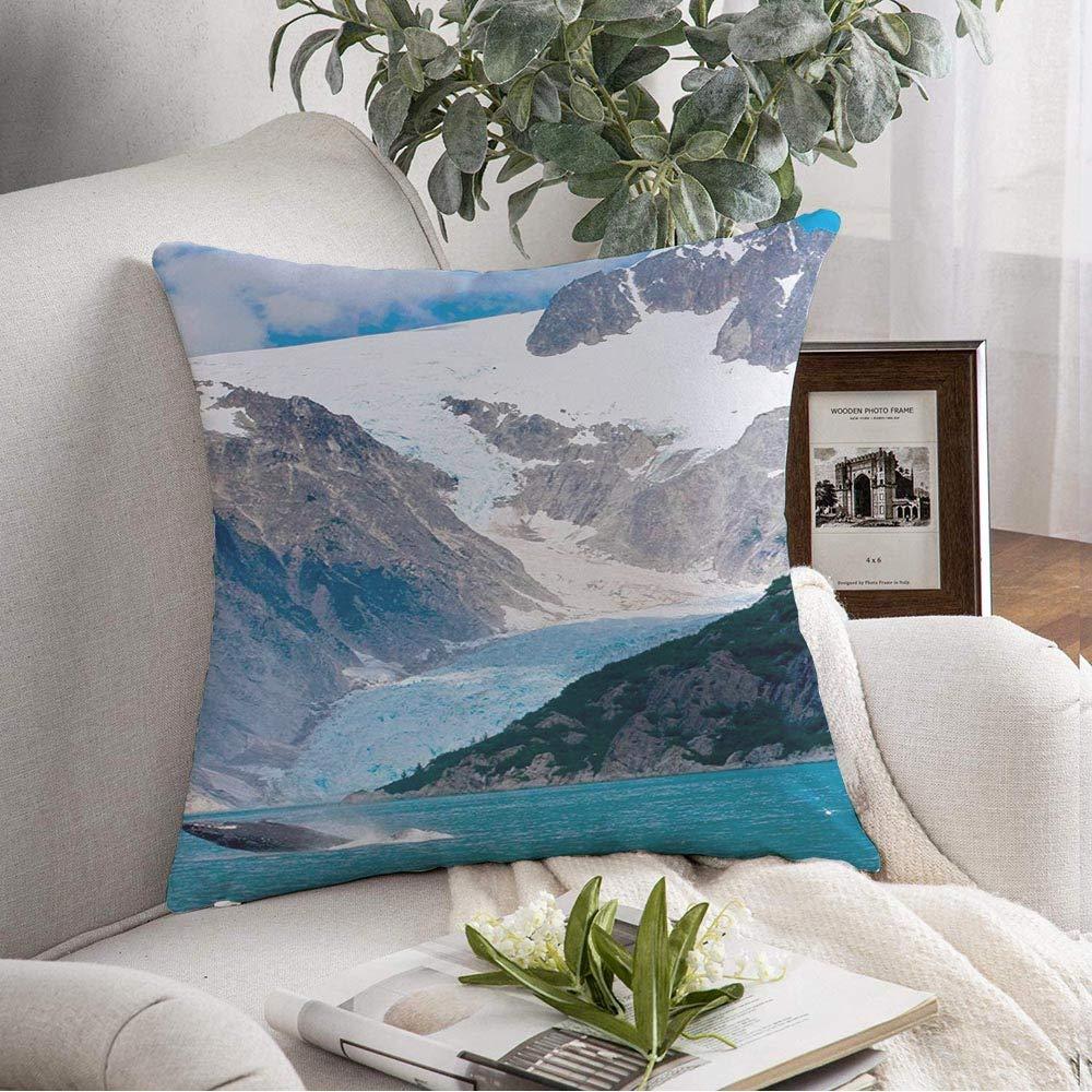 Staromil Throw Pillow Cover Mountains Humpback Snow Whale Leaps Out National in Animal Ice Water Front Animals Wildlife Nature Decorative Soft Pillowcase Square Cushion for Farmhouse Couch Chair 18x18 Inch
