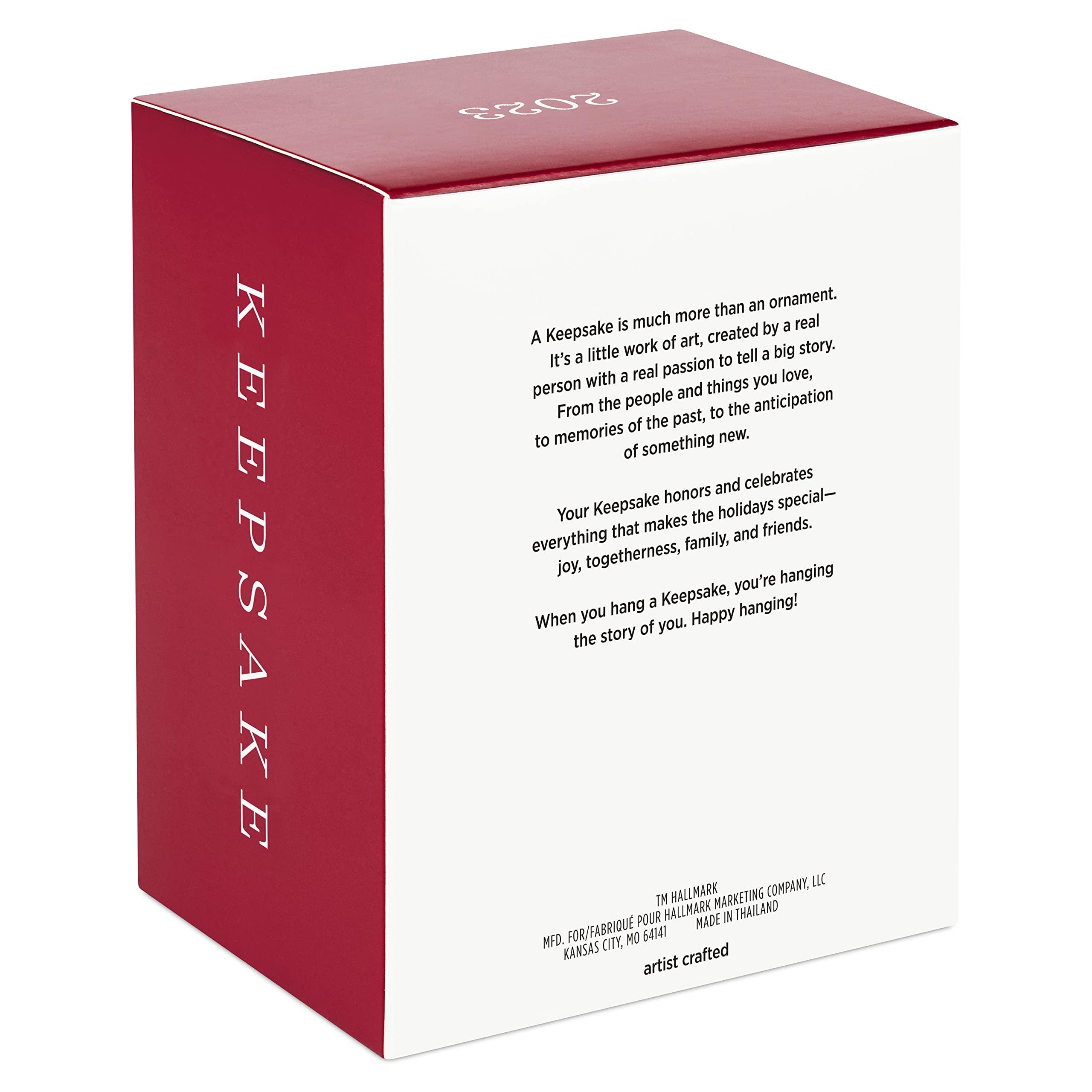 Hallmark Keepsake Hallmark Keepsake Christmas Ornament 2023, The Wizard of Oz Ornament, Under the Poppies\' Spell, Dorothy Gifts