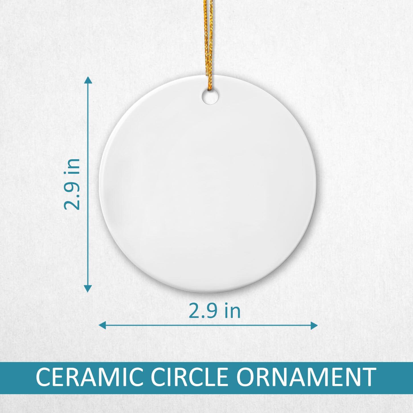 Ciciron Customized Name Giraffe Sibling Ceramic Christmas Ornament 2024, Big Brother & Little Brother Giraffe Ornament, Personalized Sibling Giraffe Ornament, Big Brother Little Brother Ceramic Ornament Gift