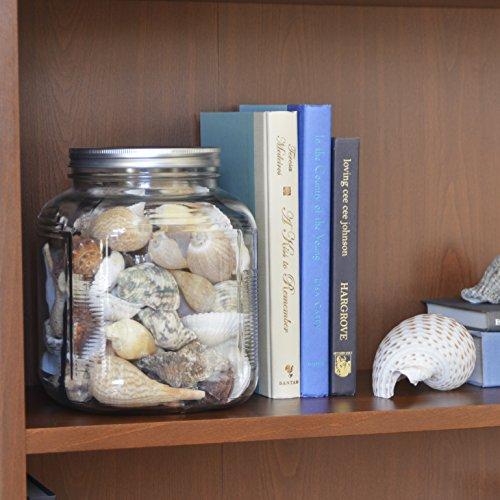 Anchor Hocking Anchor Hocking 1-Gallon Cracker Jar with Lid, Brushed Aluminum, Set of 4