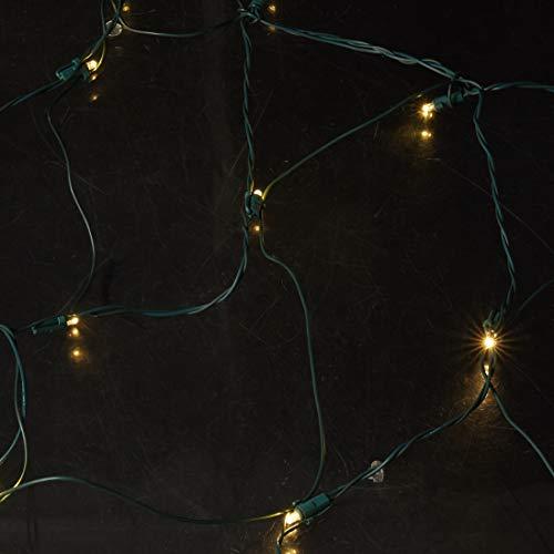 Brite Star Brite Star 4\' x 6\' Warm White Wide Angle Net Style LED Christmas Lights - Green Wire