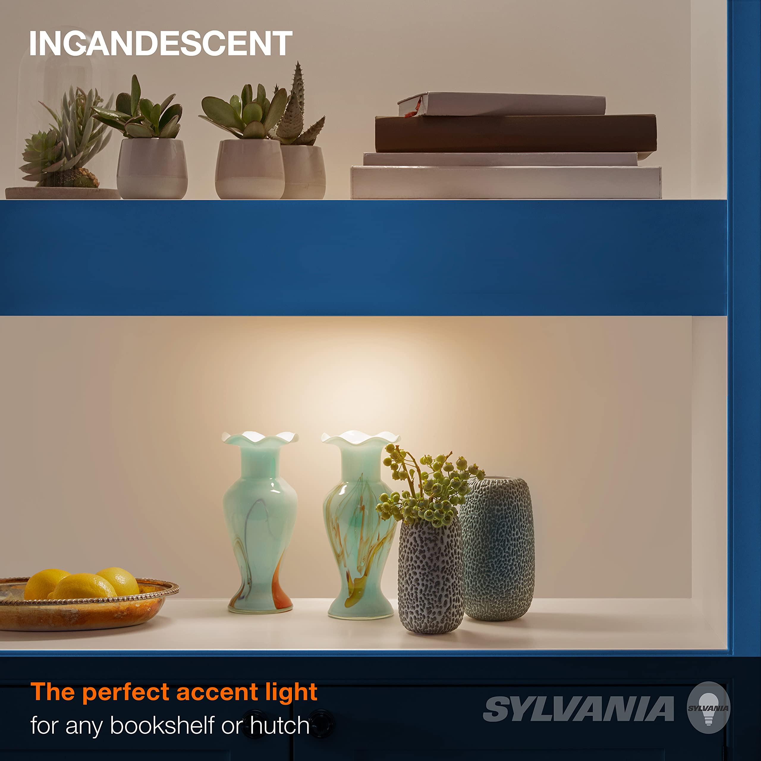 LEDVANCE SYLVANIA Mini-Floodnight Incandescent Bulb, 25W R14, Intermediate Base, Reflector, 130 Lumens, 2850K, 120V, Frosted - 1 Pack (14784), Warm White