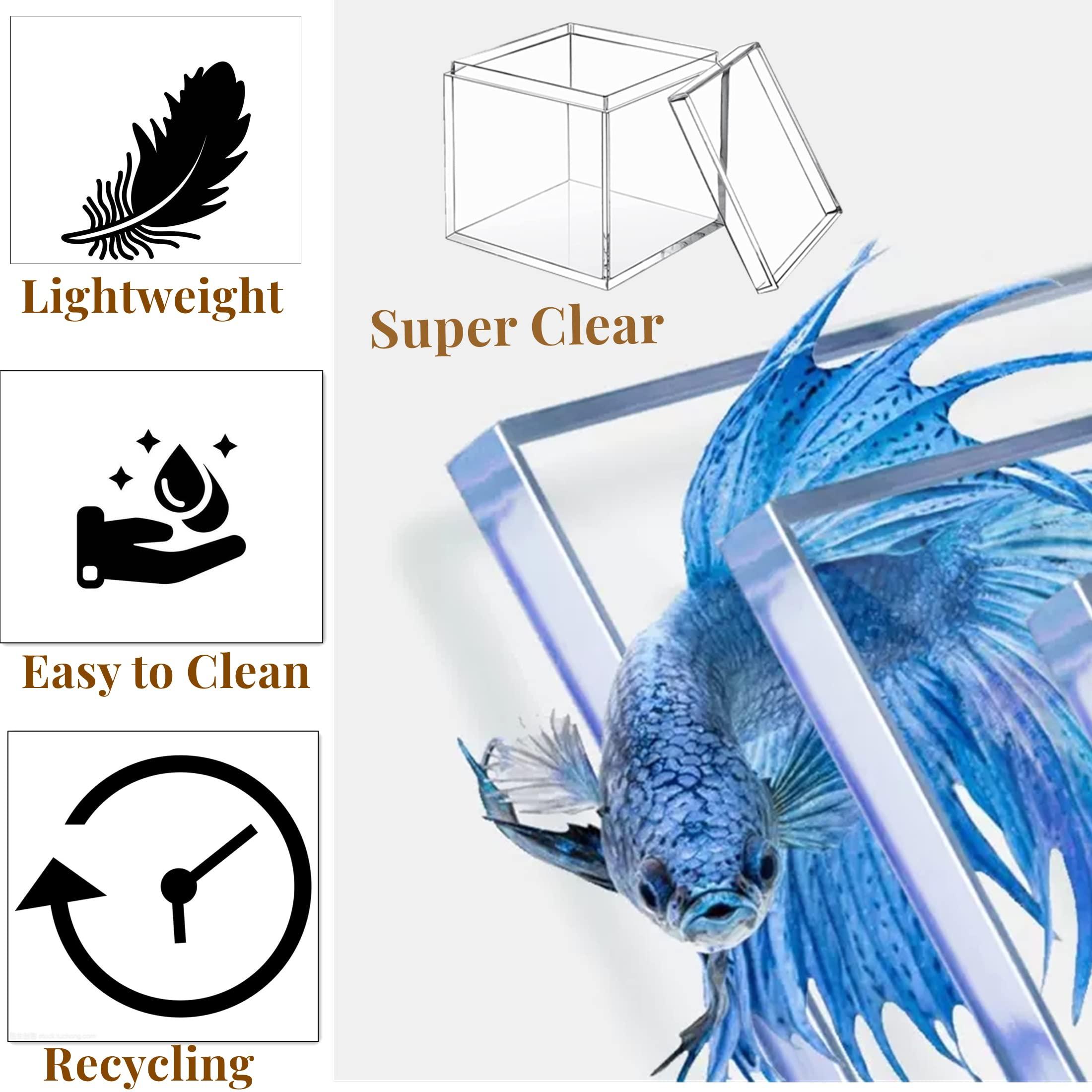 KissYou Acrylic Box Clear Box with Lid 12 Packs Transparent Small Acrylic Candy Box Party Favor Display Square Cube Wedding Birthday Christmas Decorations Party Jewlry Presents Gift Box 2.2x2.2x2.2 Inch