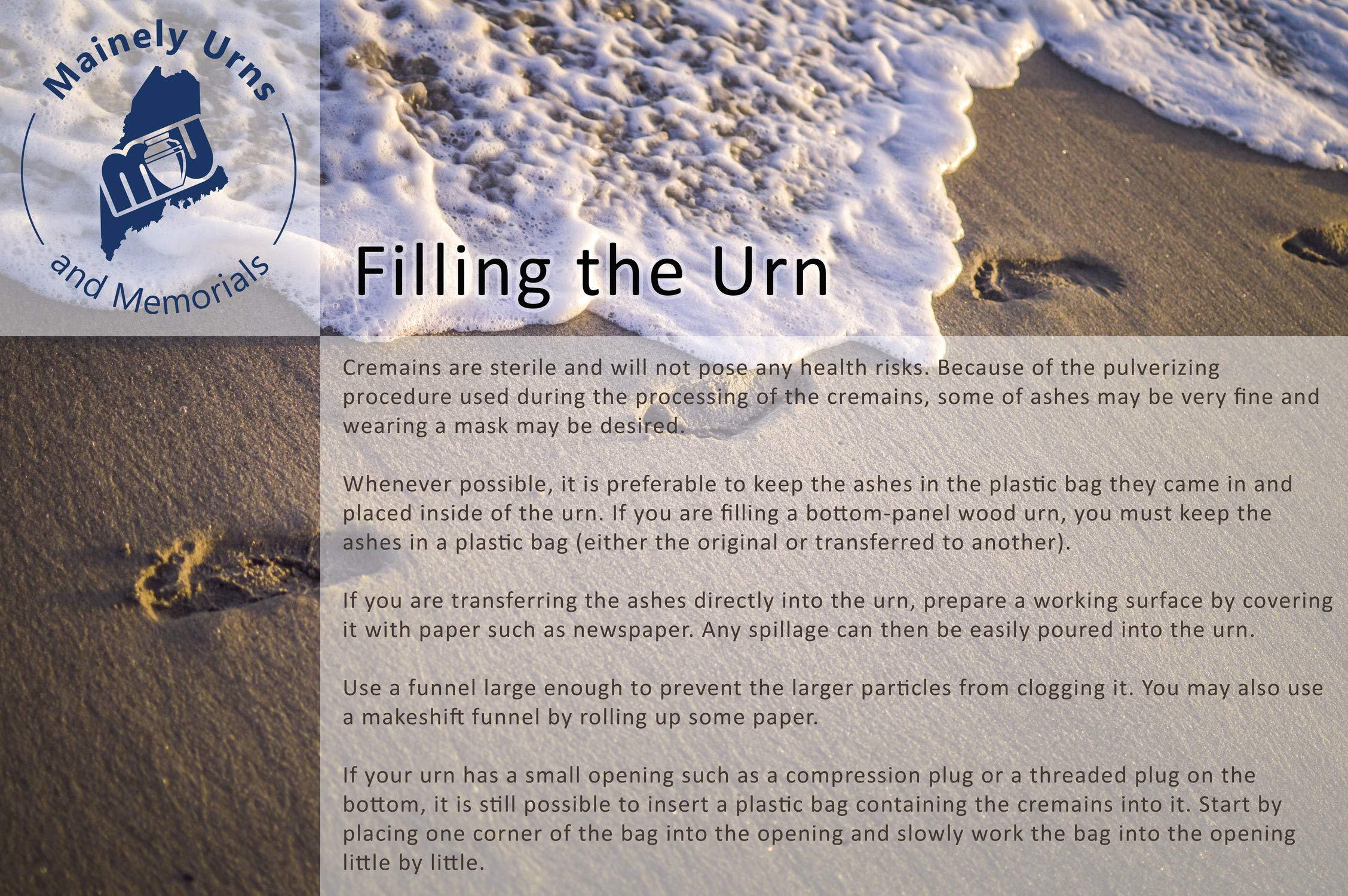 Mainely Urns Hummingbird Themed Rose Promise Cremation Urn for Ashes with Personalization - Cultured Marble Urn - 200 Cubic Inch Capacity for a Person Weighing Up to 200 Pounds