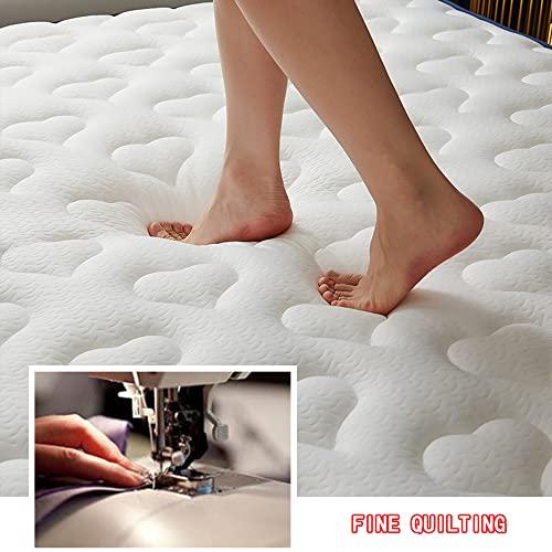 Generic Futon Mattress for Kids Room Tatami Japanese Floor Mat Queen Roll Up Camping Mattress Foldable Tatami Mat Sleeping Pad Single Double Mattress Topper for Student,Grey1,150x190cm