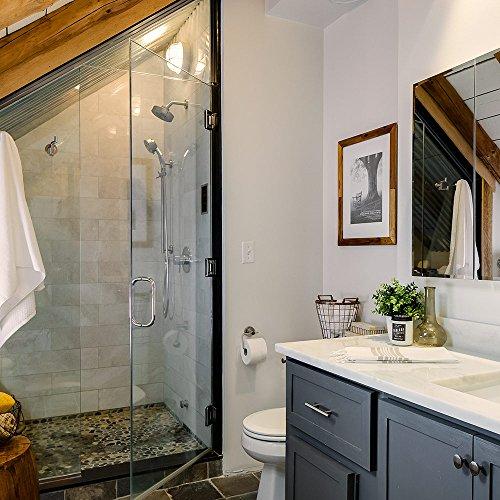 Speakman Speakman VS-3010-BN Neo Anystream High Pressure Handheld Shower Head with Hose, Brushed Nickel