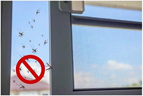 USA WindowScreens Window Screens Pre-Framed, Ready to Hang - Home Replacement Window Screens - Custom Sizes, Colors & Options - Frame Color: (White), Material Type: (Fiberglass Screen - Gray)