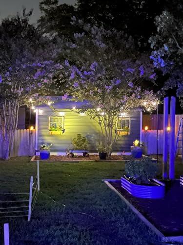 Brightech Brightech Ambience Pro Solar Powered Outdoor String Lights, 27 ft Commercial Grade Waterproof Patio Lights, 12 Edison Bulbs, Shatterproof LED String Lights for Outside, Porch - 1W Soft White