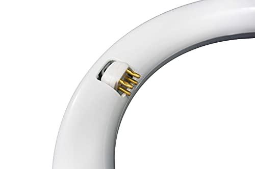 NYLL NYLL - 8 Inch/ 8" Plug & Play T9 Circline LED Lamp - Daylight (6000K) Circular Bulb Directly Relamp & Replace 22 Watt Fluorescent Bulb FC8T9/D (Without rewiring or Modification) - Ballast Required!