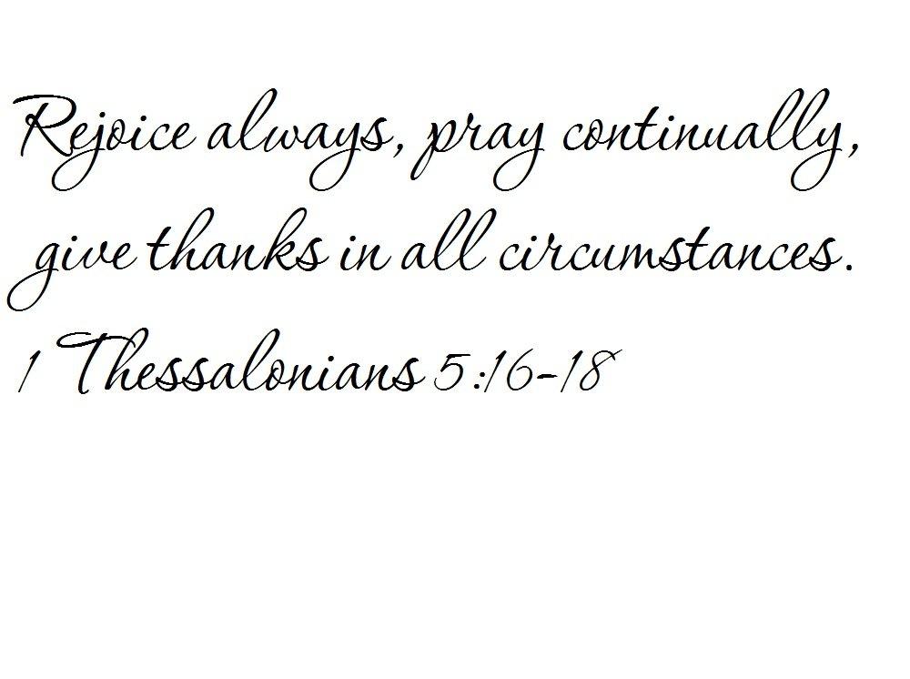 Avanti Avanti AR17T3S AR17T 1.7 cu. ft. Compact Refrigerator, in Stainless Steel