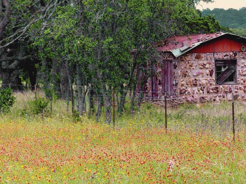 Posterazzi Posterazzi Collection Country Meadow II Poster Print by Gail Peck (12 x 9)