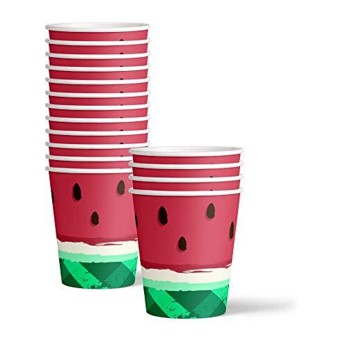 Birthday Galore Watermelon Birthday Party Supplies Set Plates Napkins Cups Tableware Kit for 16
