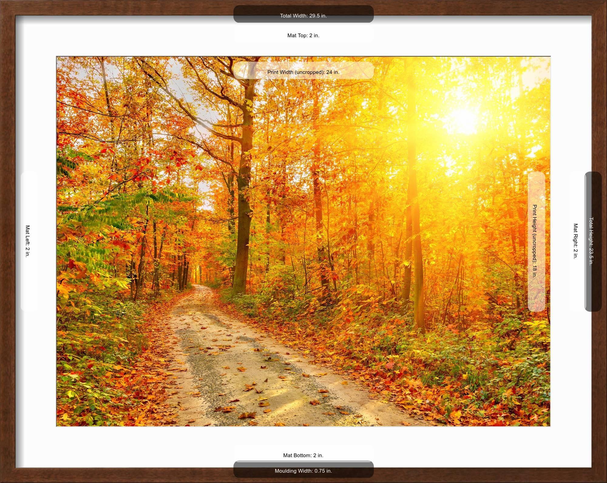 ART.COM ART.COM Framed Wall Art Prints Pathway through the Autumn Forest by sborisov, Scenic Decor, 24\" x 18\", Espresso Frame with White Mat