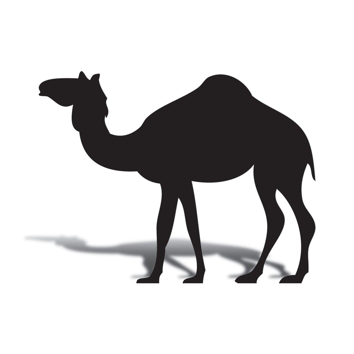 Anderson\'s Black Standing Camel Cardboard Life Size Standup Kit