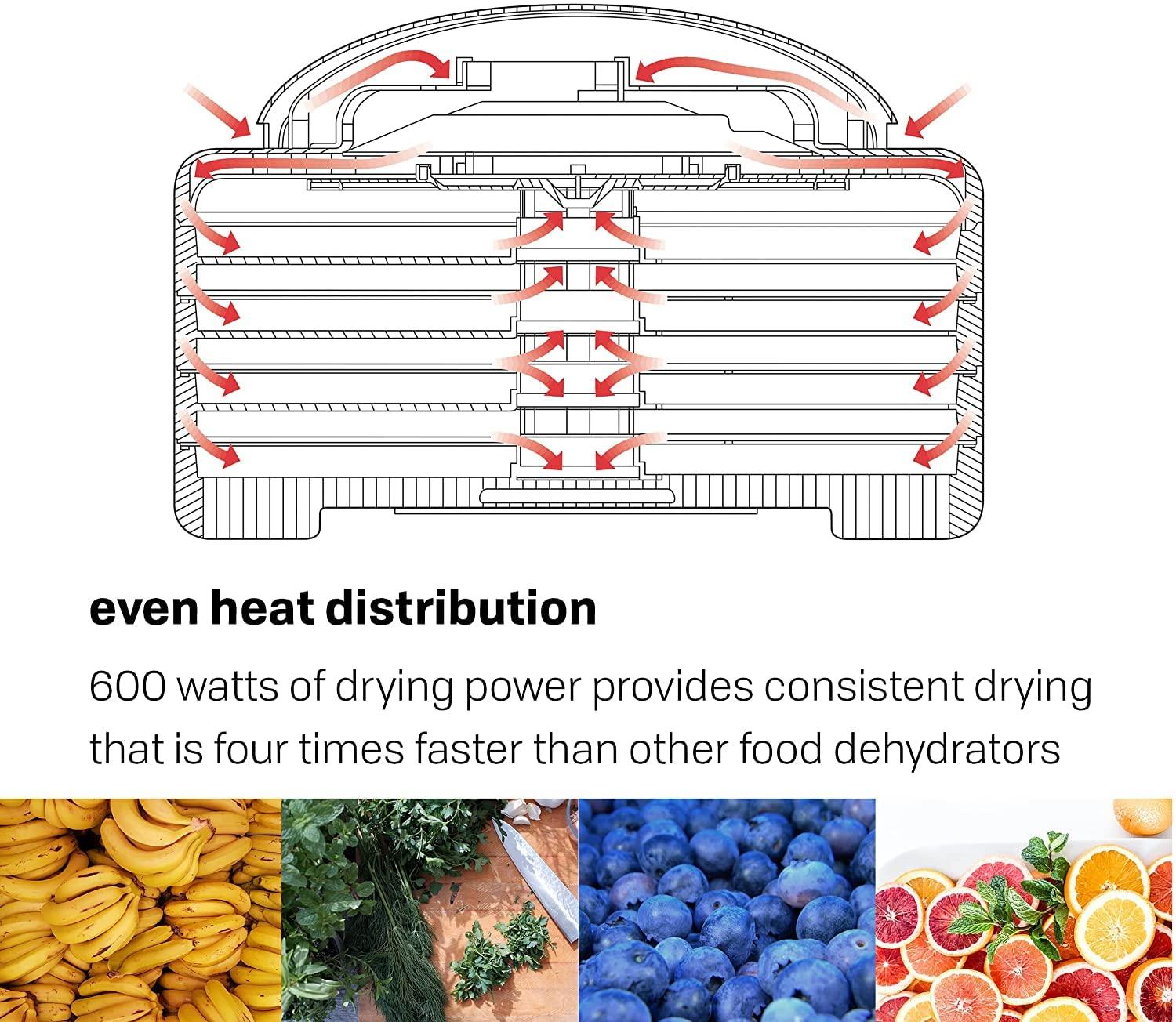 Nesco Nesco FD-60 Snackmaster Express Food Dehydrator + Nesco LT-2SG Snackmaster Add-a-Tray, Set of 2