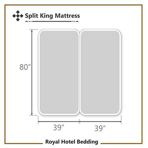 Royal Hotel Bedding Royal Hotel Bedding Split-King: Adjustable King Bed Sheets 5PC Solid Sage 100% Combed Cotton 550-Thread-Count, Deep Pocket