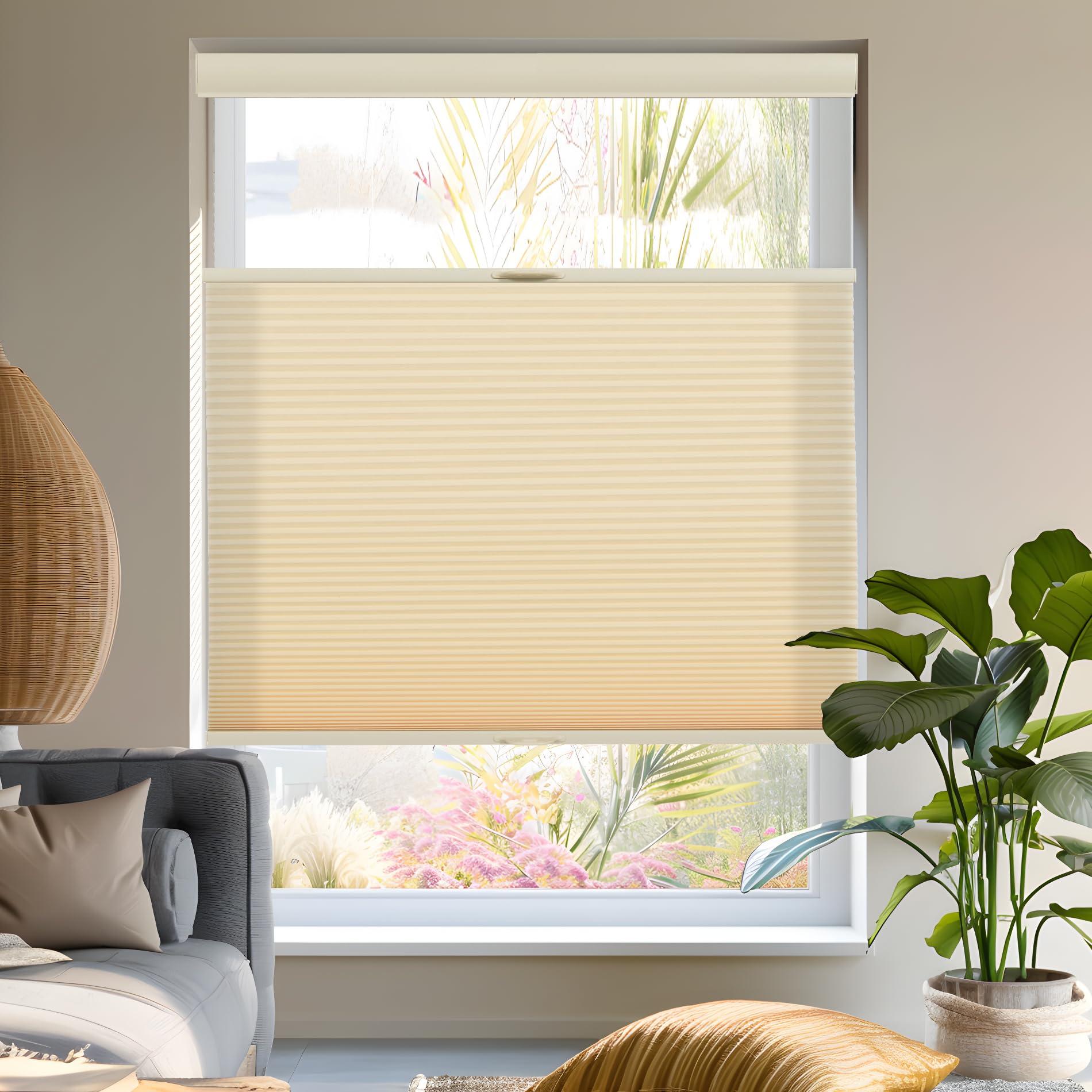 Tonature Tonature Light Filtering Door Blinds Top Down Bottom Up Cellular Shades for French Door 1" Honeycomb Fabric Thermal Insulated Energy Efficient Privacy Window Shades53 W x 72" H, Beige