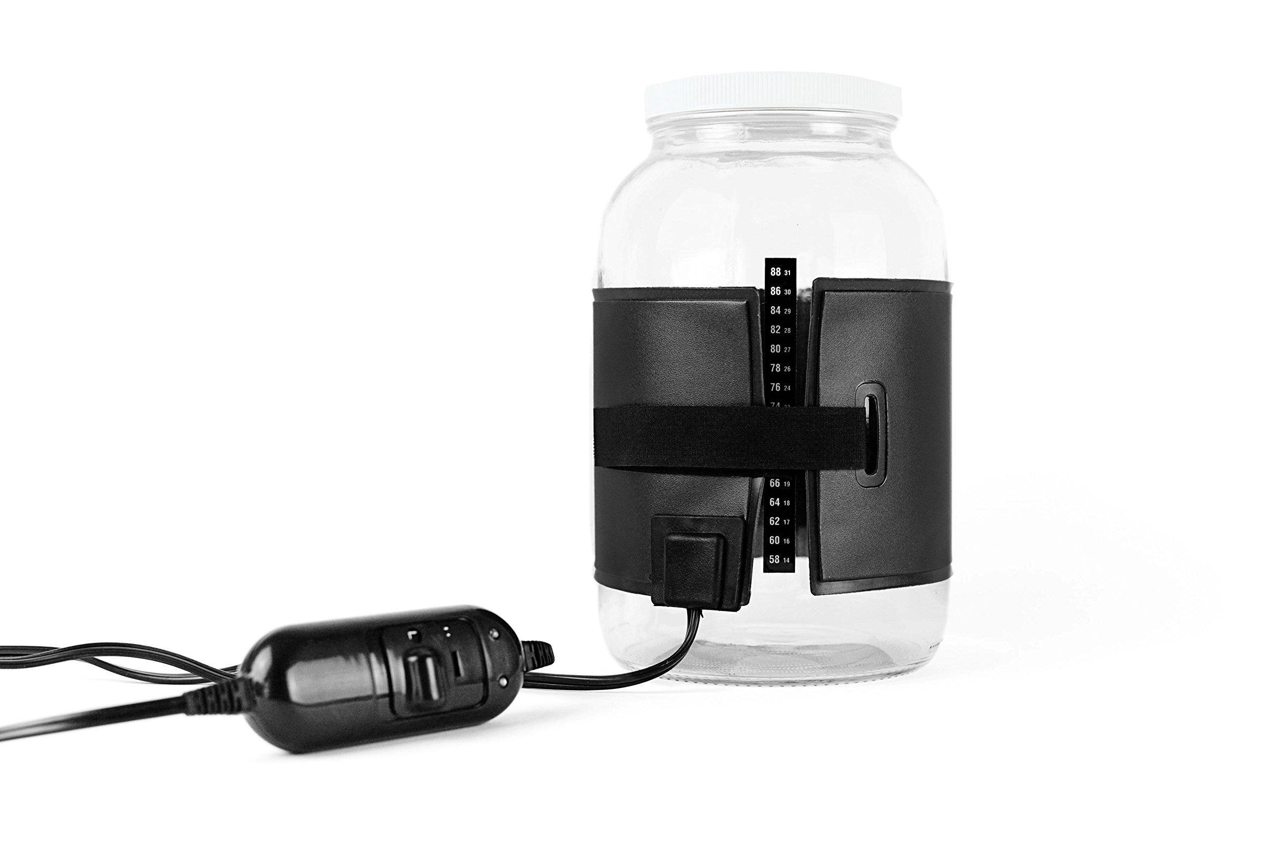 The Kombucha Shop The Kombucha Shop, Deluxe Kombucha Brewing Kit with Tea to Make an Additional 10 Gallons - Six Swing Top Bottles, Stainless Steel Funnel, Custom Bottle Brush, 10 Gallon Tea & Our Original Brewing Kit